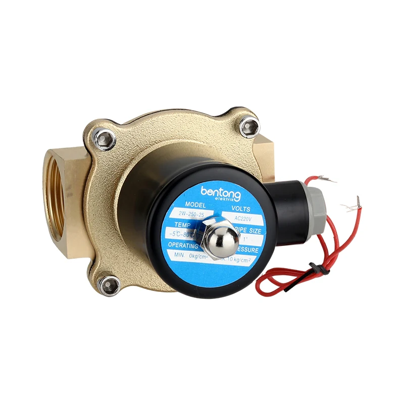 2W-250-25 1″ Brass Solenoid Valve AC220V for Automatic Fluid Control
