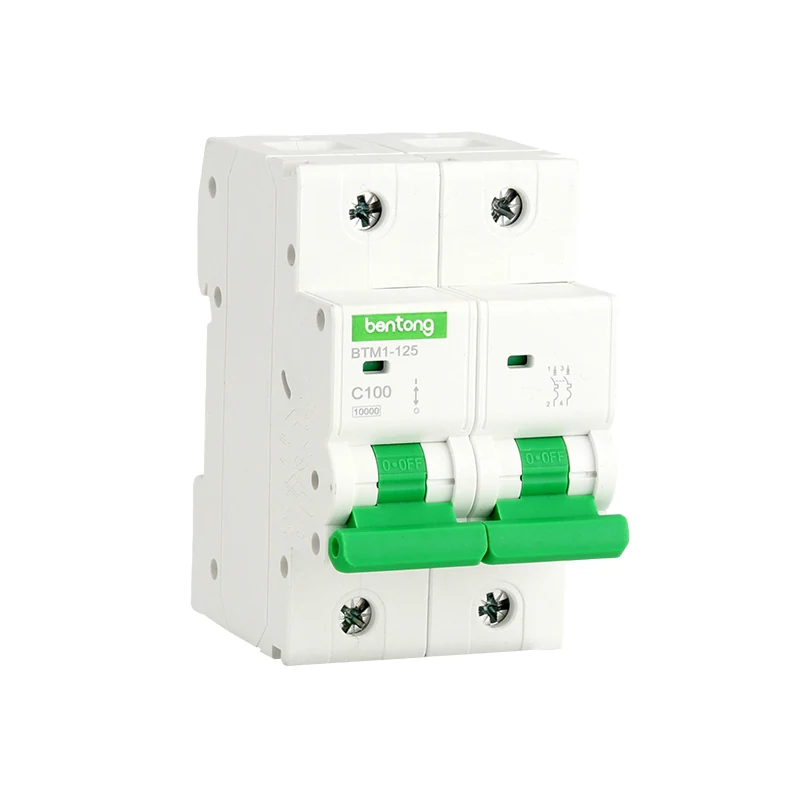 BTM1-125 2P C100 Miniature Circuit Breaker 100A MCB