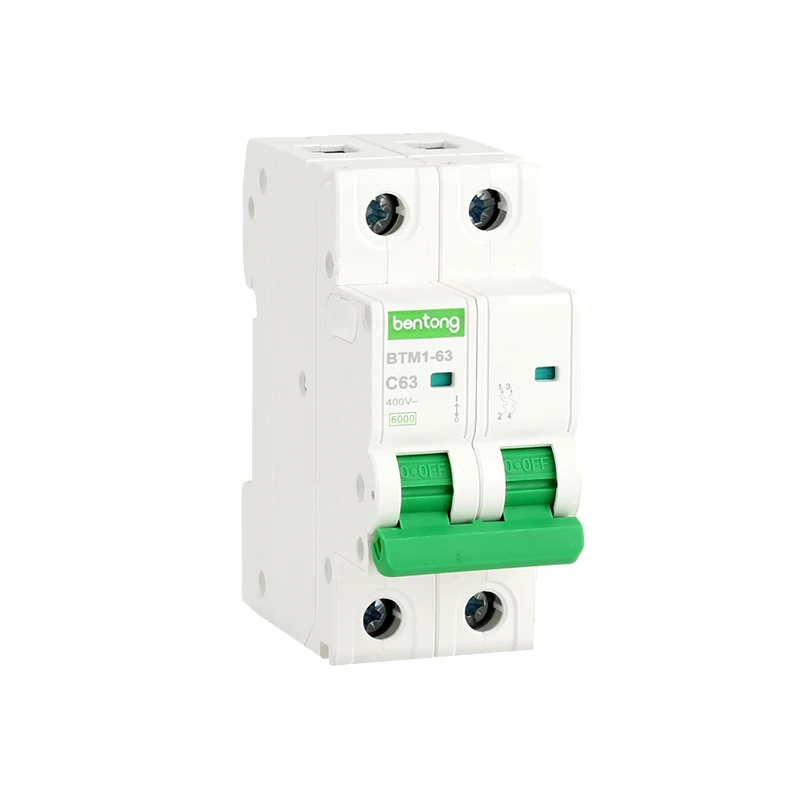 BTM1-63 2P C63 Miniature Circuit Breaker 400V AC 6kA