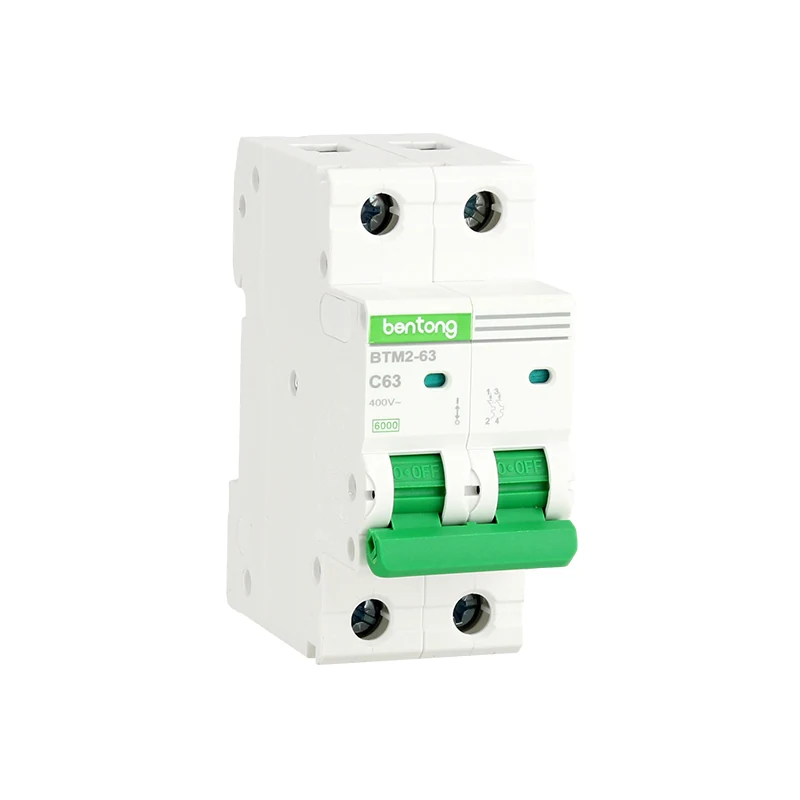 BTM1-63 2P C63 Miniature Circuit Breaker 400V AC 6kA