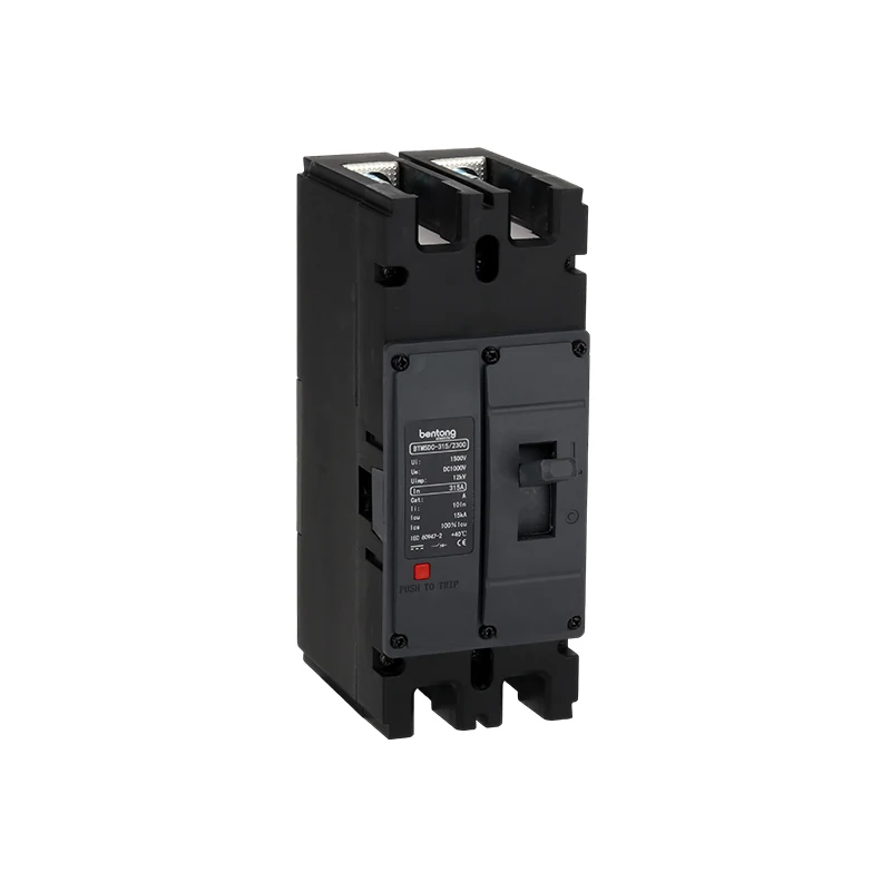 BTM5DC-315/2300 2-Pole DC Molded Case Circuit Breaker 315A 1000V