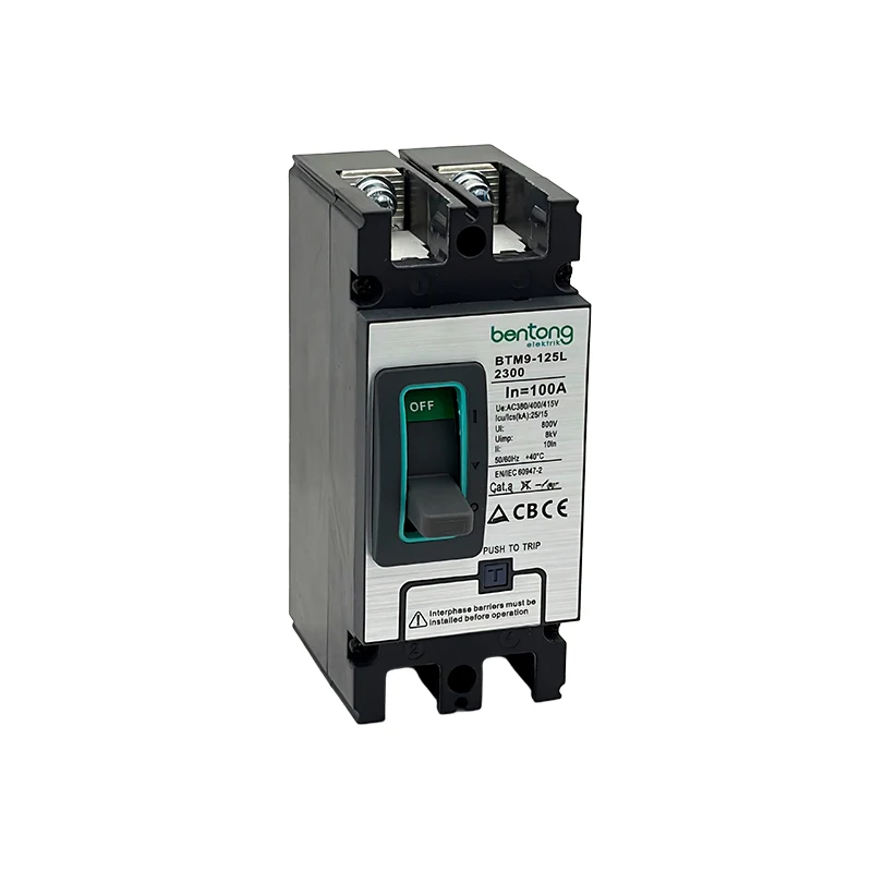 BTM9-125L/2300 2-Pole 100A MCCB Molded Case Circuit Breaker for AC Circuit Protection