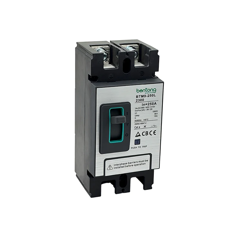 BTM9-250L 250A 2-Pole Molded Case Circuit Breaker for Low-Voltage Power Distribution